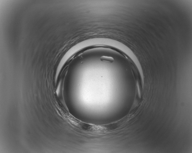 X0000085290429200703161455