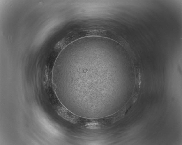 X0000085290430200703161455