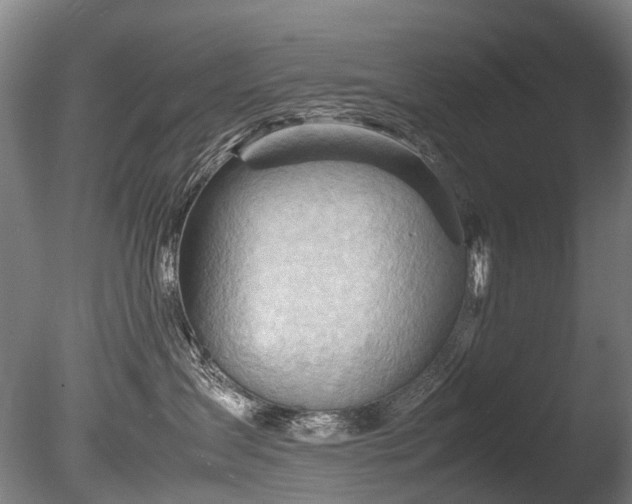 X0000085290431200703161455