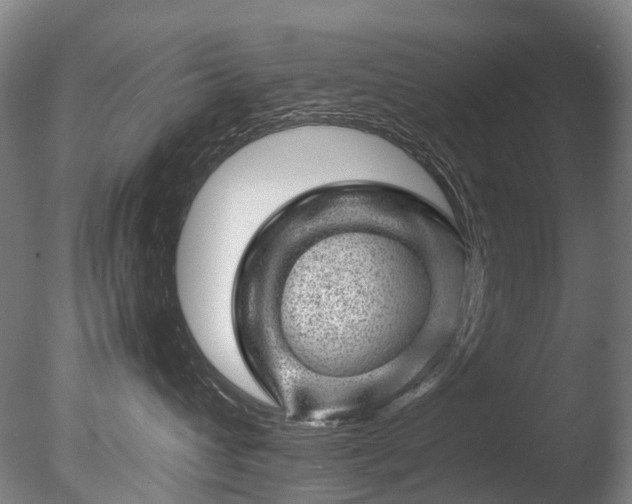 X0000085290432200703161455