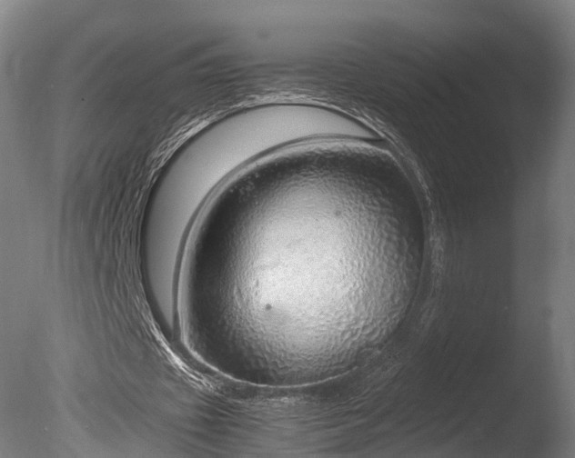 X0000085290433200703161454