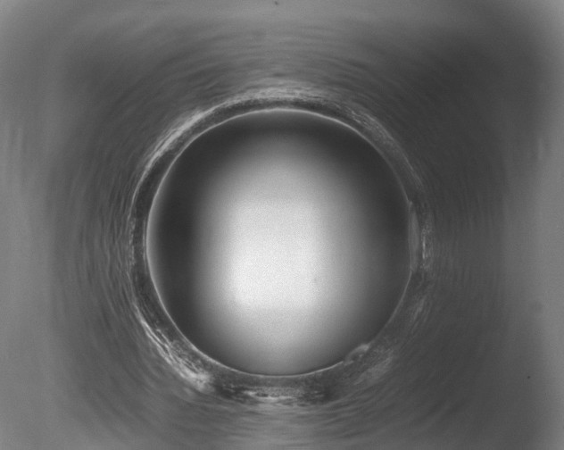 X0000085290436200703161454