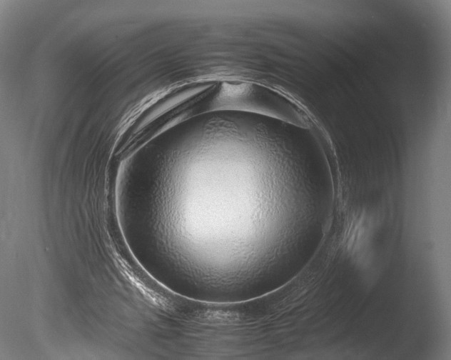 X0000085290437200703161454