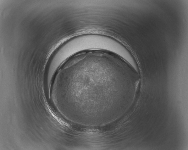 X0000085290438200703161454