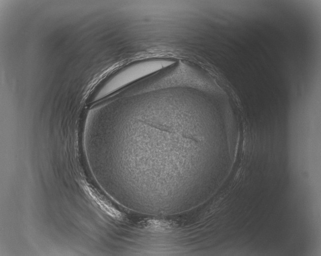 X0000085290442200703161454