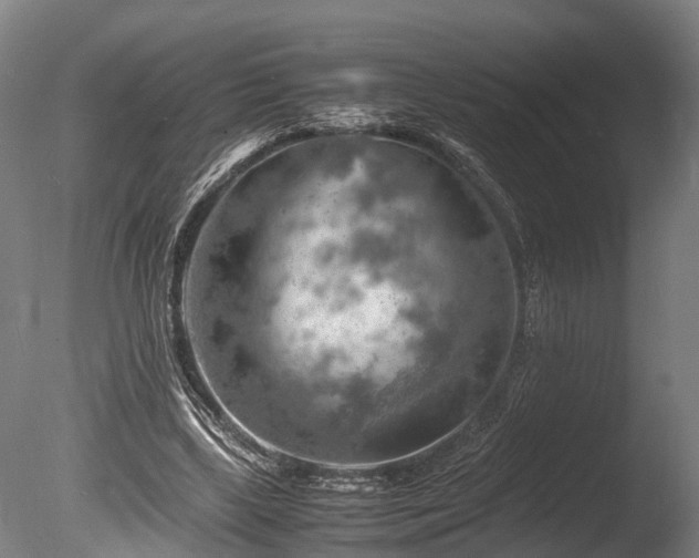 X0000085290443200703161454