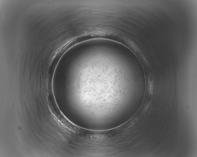 X0000085290444200703161454