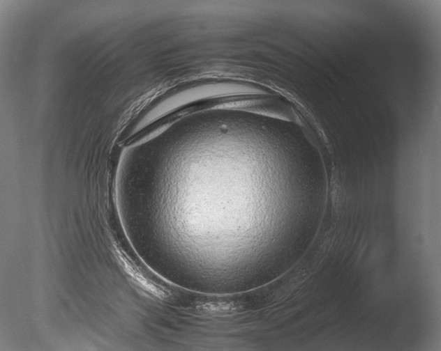 X0000085290445200703161454