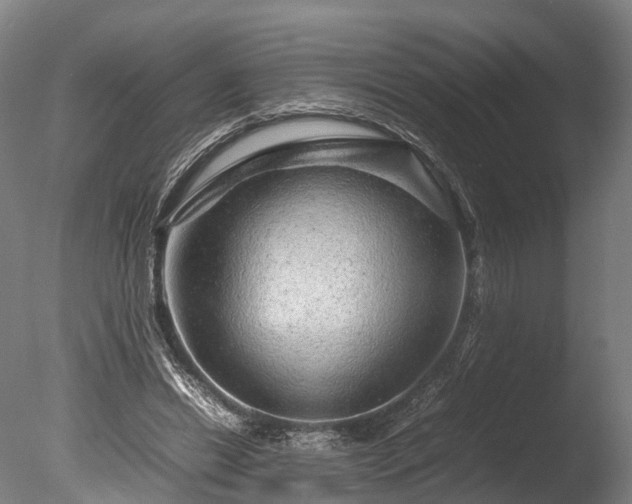 X0000085290446200703161454