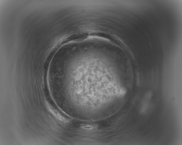 X0000085290447200703161454