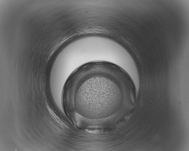 X0000085290448200703161454