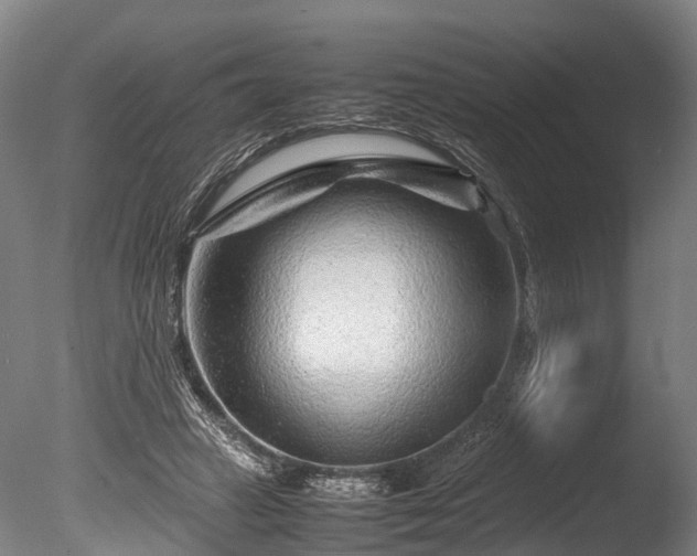 X0000085290449200703161454