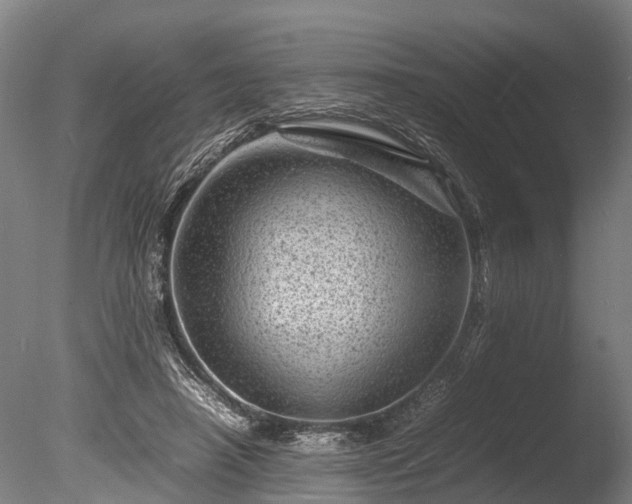 X0000085290450200703161454