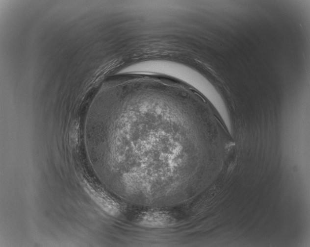 X0000085290451200703161454