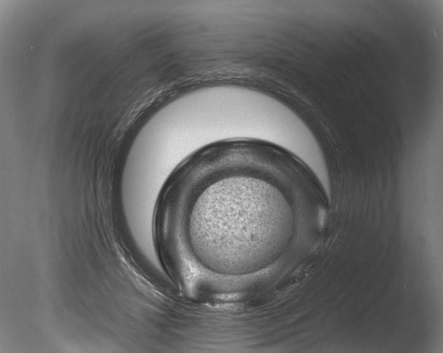 X0000085290452200703161454