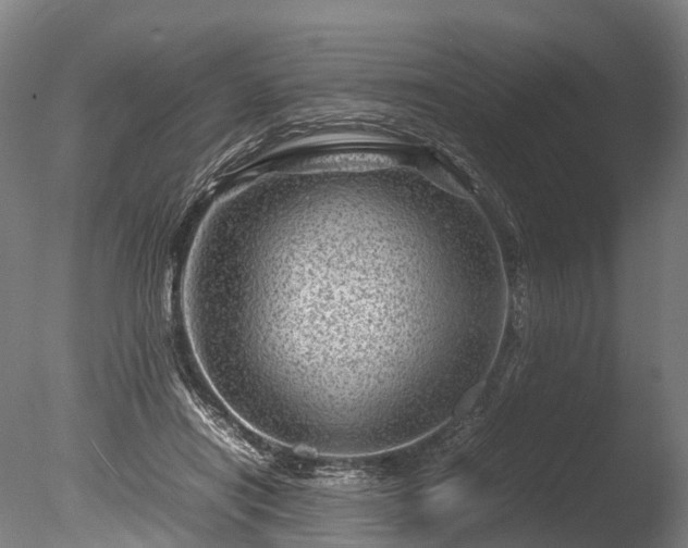 X0000085290454200703161454