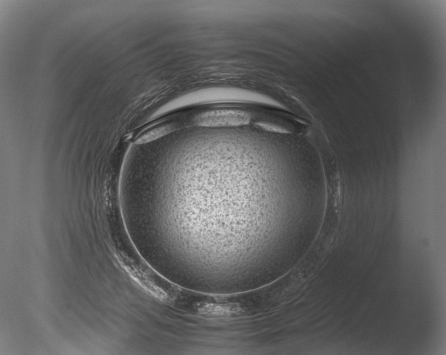 X0000085290455200703161454