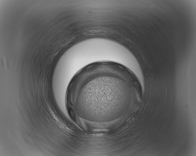 X0000085290456200703161454