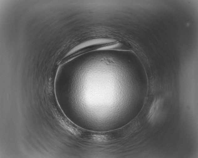 X0000085290457200703161454