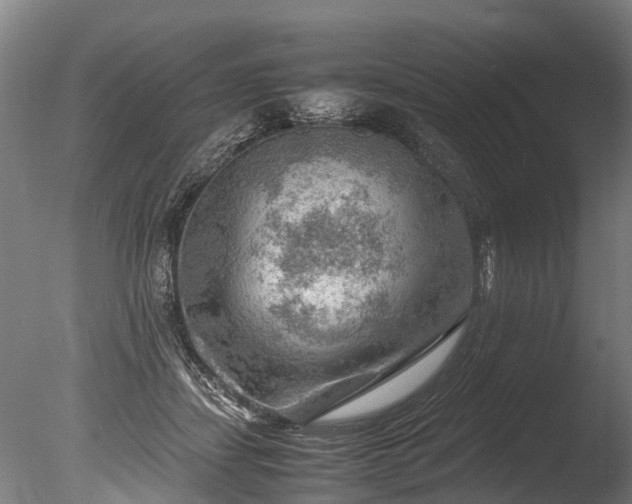 X0000085290459200703161454