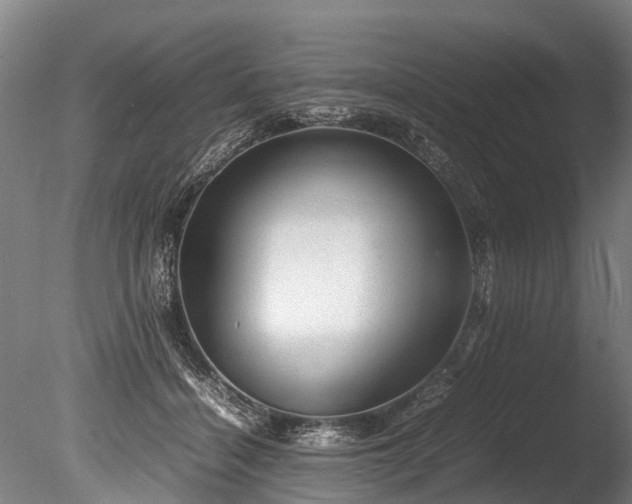 X0000085290460200703161454