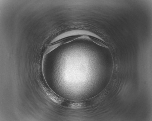 X0000085290461200703161455