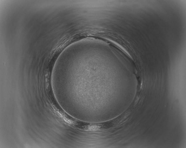 X0000085290462200703161455