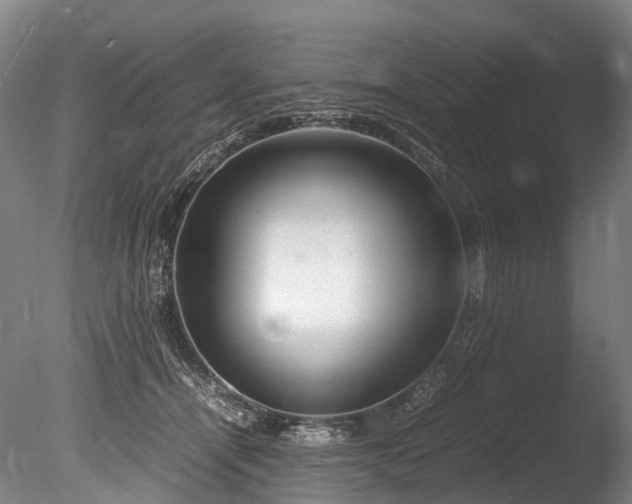 X0000085290464200703161455