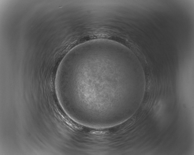 X0000085290465200703161455