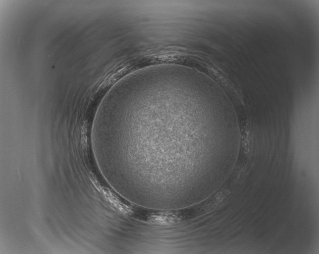 X0000085290466200703161455