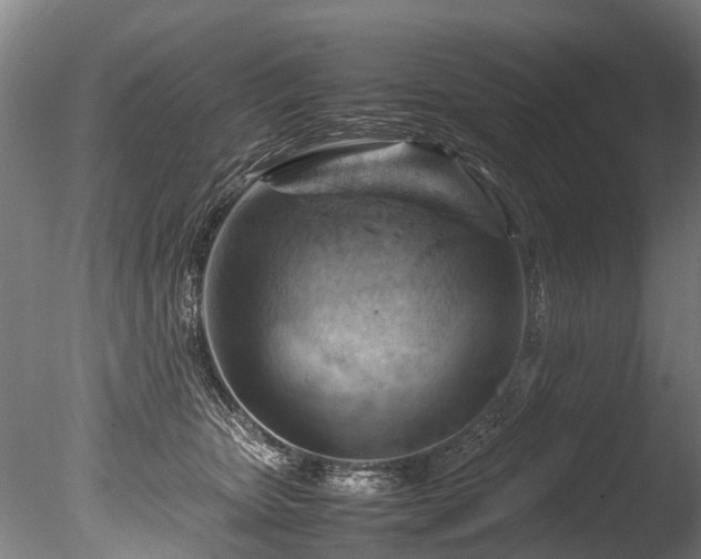 X0000085290467200703161455