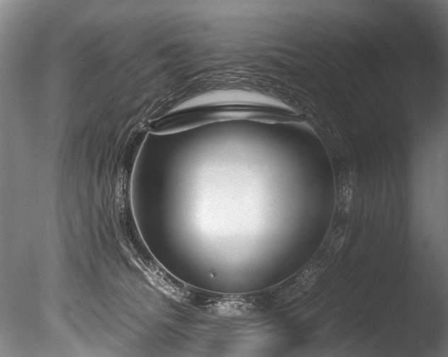 X0000085290468200703161455