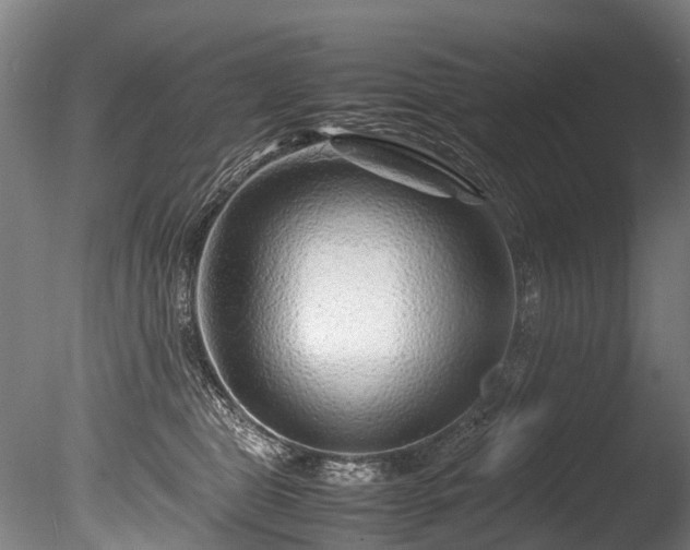 X0000085290469200703161455