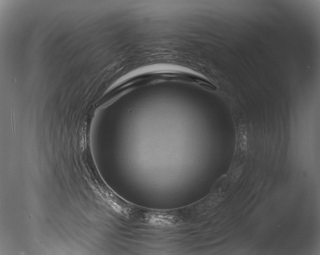 X0000085290471200703161455