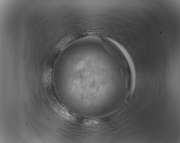 X0000085290475200703161455