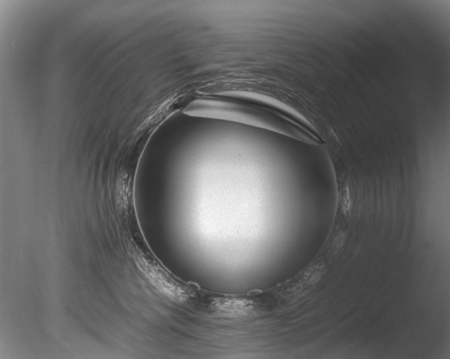 X0000085290476200703161455