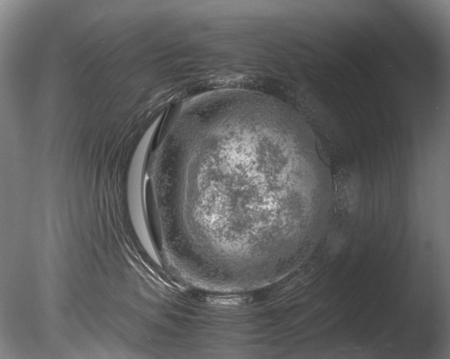 X0000085290479200703161455