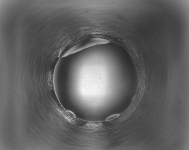 X0000085290480200703161455