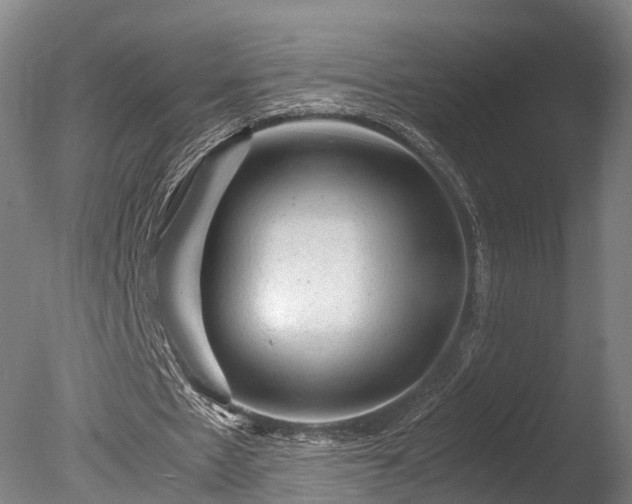 X0000085290481200703161454