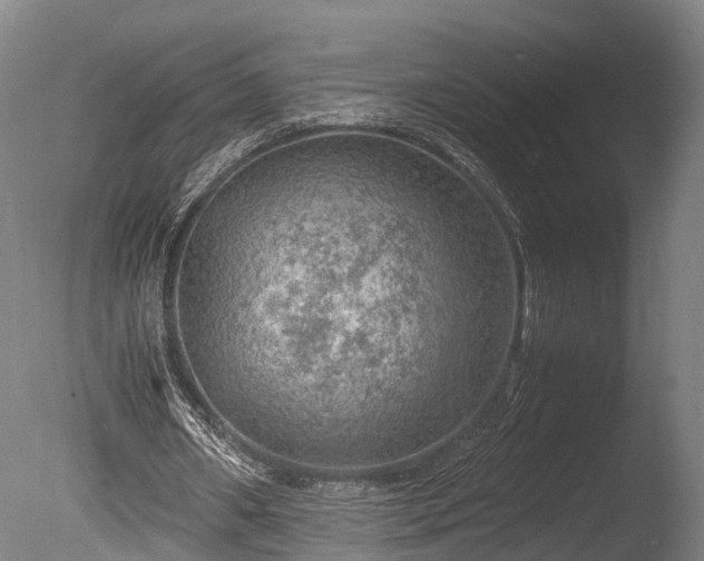 X0000085290482200703161454