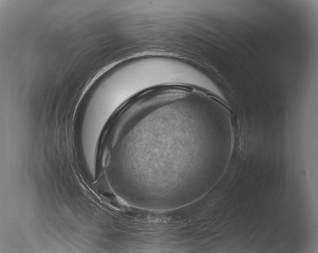 X0000085290484200703161454