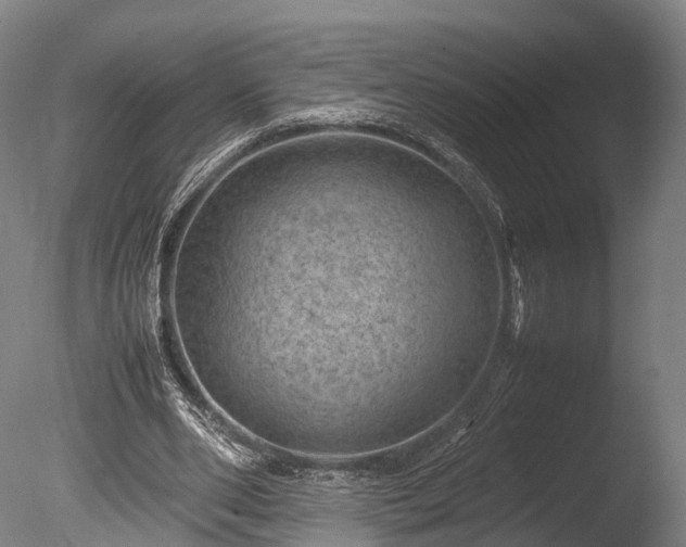 X0000085290486200703161454