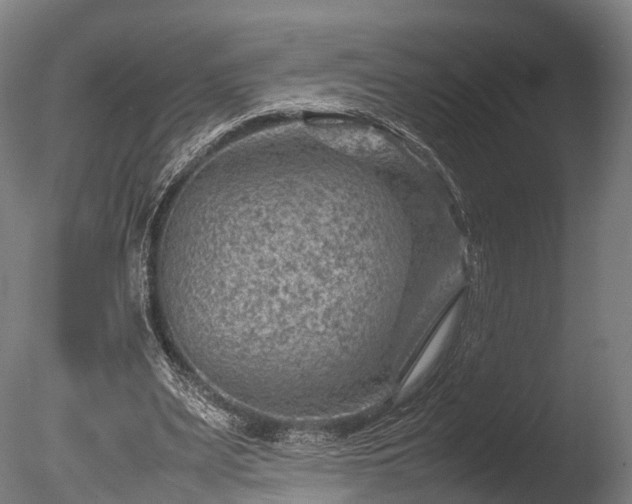 X0000085290487200703161454