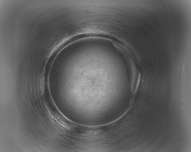 X0000085290488200703161454