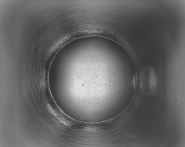 X0000085290490200703161454