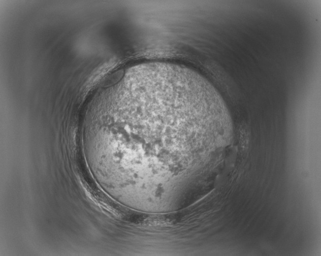 X0000085290491200703161454