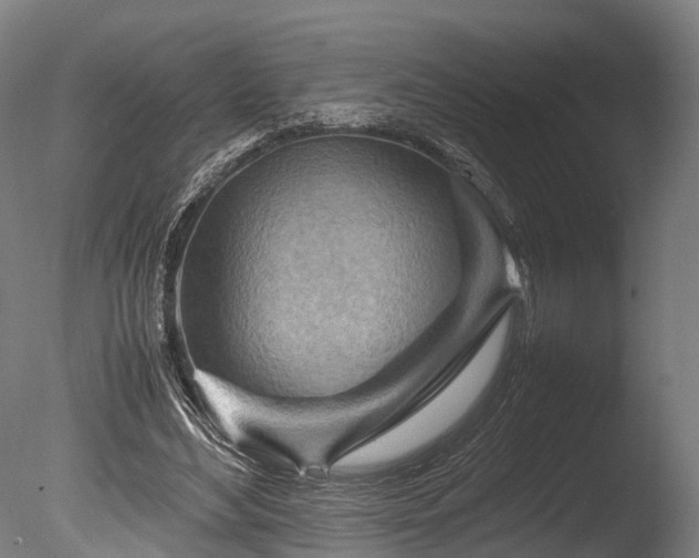 X0000085290492200703161454