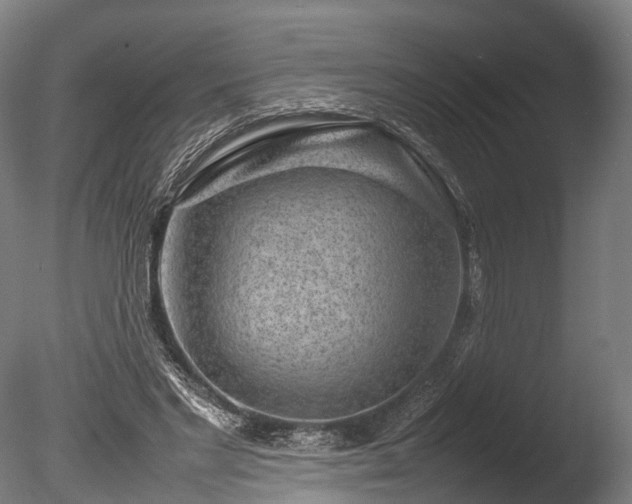 X0000085290493200703161454