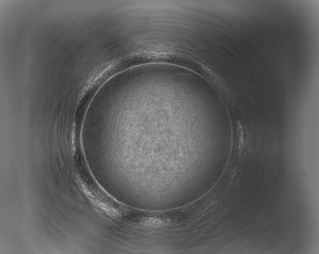 X0000085290494200703161454