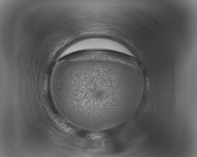 X0000085290495200703161454